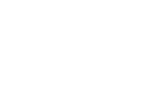 The Property Alliance Logo